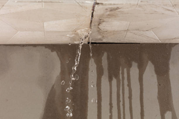 Professional Water Damage Repair technician working in Lolita, TX